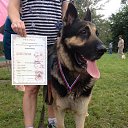 ��� ��� - ������! �� ������� ��������� 27 ������� 2016�