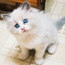 ���� �����, ���������, 30 ��� - ��������� 29 ����� 2016 � ������ ���� ����������