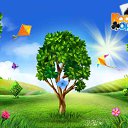 ���� ������, ���������, 66 ��� - ��������� 8 ��� 2016 � ������ �������� �������-�������