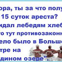 ���� ��������, ������ �������� - ��������� 20 ������ 2016 � ������ ���� ����������
