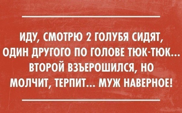 ♥♥ - 19  2016  16:40