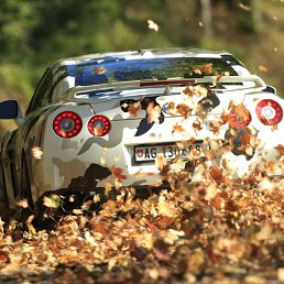 ��������, ���������, 45 ���