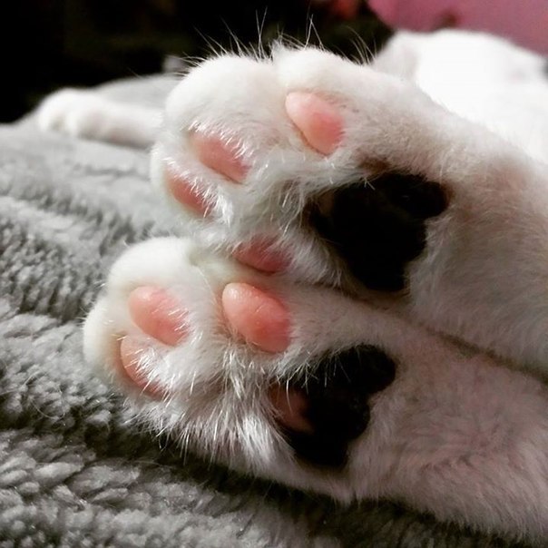 Подушечки :) - 2