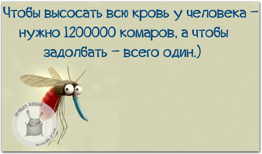   - 9  2016  15:15