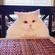 ����, 35 ���, ����