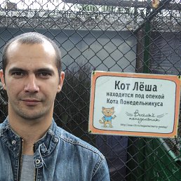 �������, ����������, 41 ���