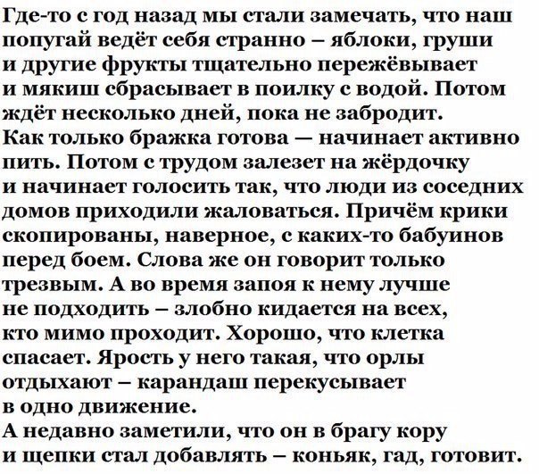   - 28  2016  06:16