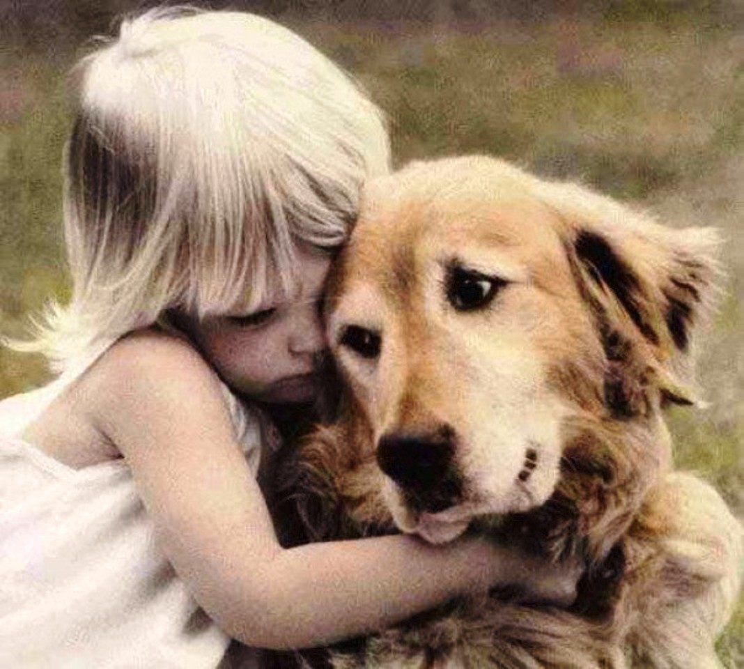 1 собака верный и надежный друг человека. Собака друг человека. Собака - лучший друг. Животные друзья человека. Дружба людей и животных.