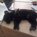 ���� �����, �������, 43 ���� - ��������� 11 ������� 2016