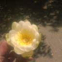 ���� Andrey, ������, 43 ���� - ��������� 17 ������ 2016 � ������ ������