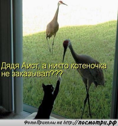       - 18  2016  13:54
