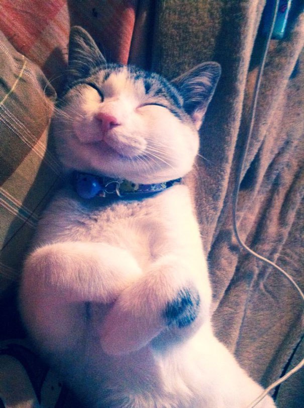      :3 - 4