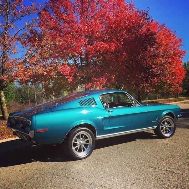 1968 Ford Mustang Fastback - 6