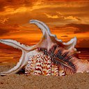 ���� Eric, ����, 61 ��� - ��������� 29 ������ 2016 � ������ �The beauty of the sea�