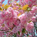 ���� �������, ������ - ��������� 5 ��� 2016 � ������ �������� ��� 2016�