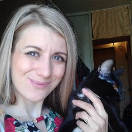 �������, ��������, 40 ���