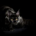 ���� �������, �����-���������, 35 ��� - ��������� 10 ��� 2016 � ������ ���� ����������