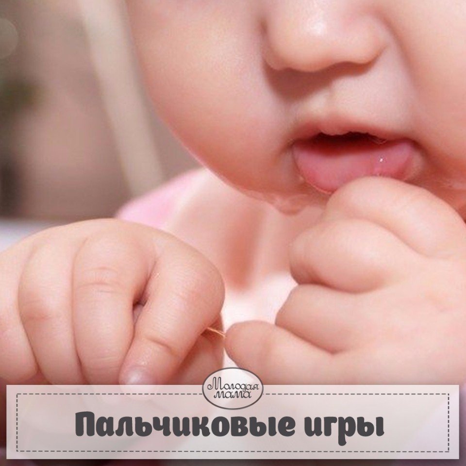 ПАЛЬЧИКОВЫЕ ИГРЫ ДЛЯ САМЫХ МАЛЕНЬКИХ.ДИКИЕ ЖИВОТНЫЕ (с мизинца- к большому пальцу)Это зайчонок, это ...