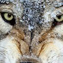 ���� �����, ������, 40 ��� - ��������� 5 �������� 2016