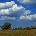  Vitalii, , 44  -  20  2016    