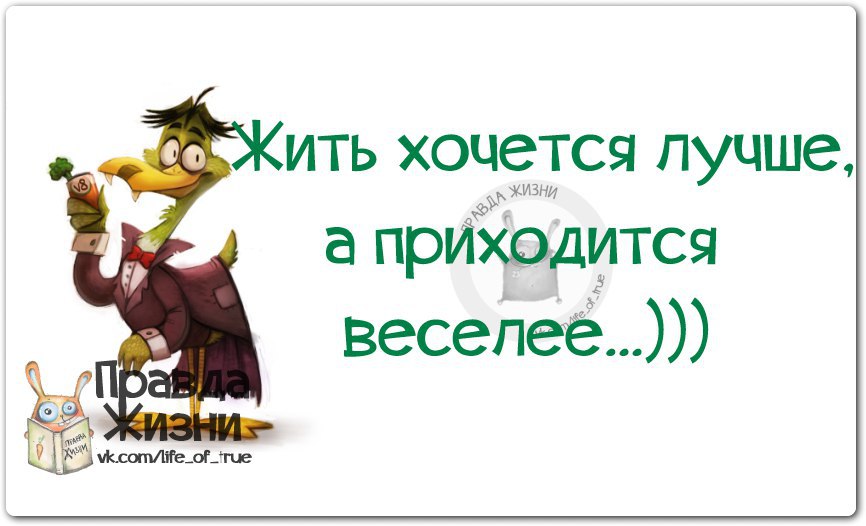 С ними жить веселее. Веселая старость. С каждым днём всё радостнее жить. С ними жить веселее. С ними жить веселее.