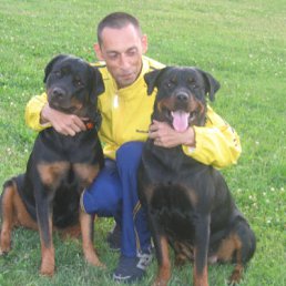 ���� �����, �����-���������, 59 ��� - ��������� 8 ���� 2016