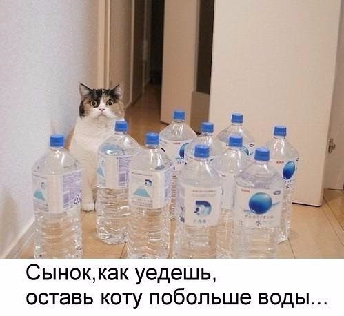   - 26  2016  21:01