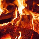  Anatoly, , 52  -  19  2016    