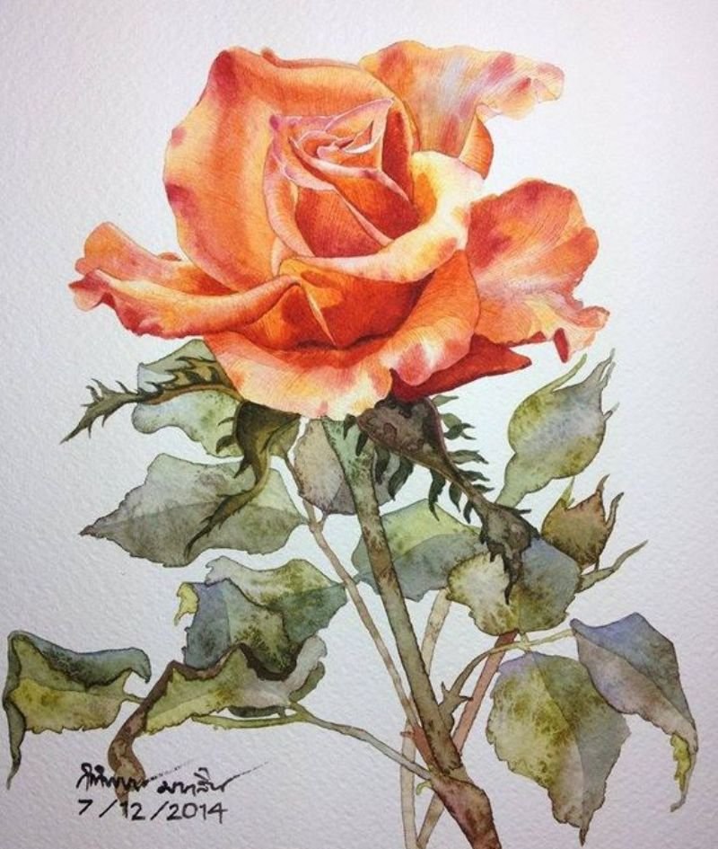 ����� �������� ��������� �� �������� KITIPONG TI . � ��� ���� ����� ���� �����. ��� � ���� ������ ... - 3