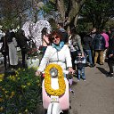  Olha, , 69  -  18  2016   Keukenhof Holland 04.2016.