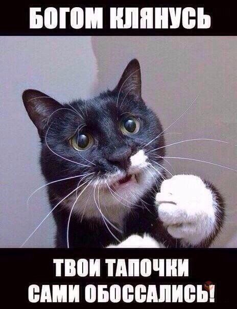 ������ - ��������� - 7 ������� 2016 � 14:23