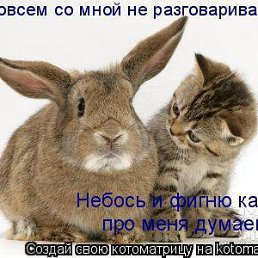 �����, �������, 60 ���