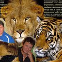 ���� �����, ������, 63 ���� - ��������� 29 ������� 2016