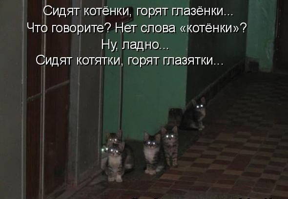       - 5  2016  04:30
