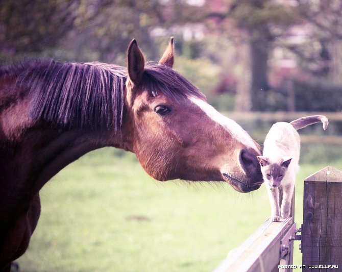 Lara - 24  2016  23:03