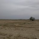  , , 35  -  12  2016   Iraq March 2016