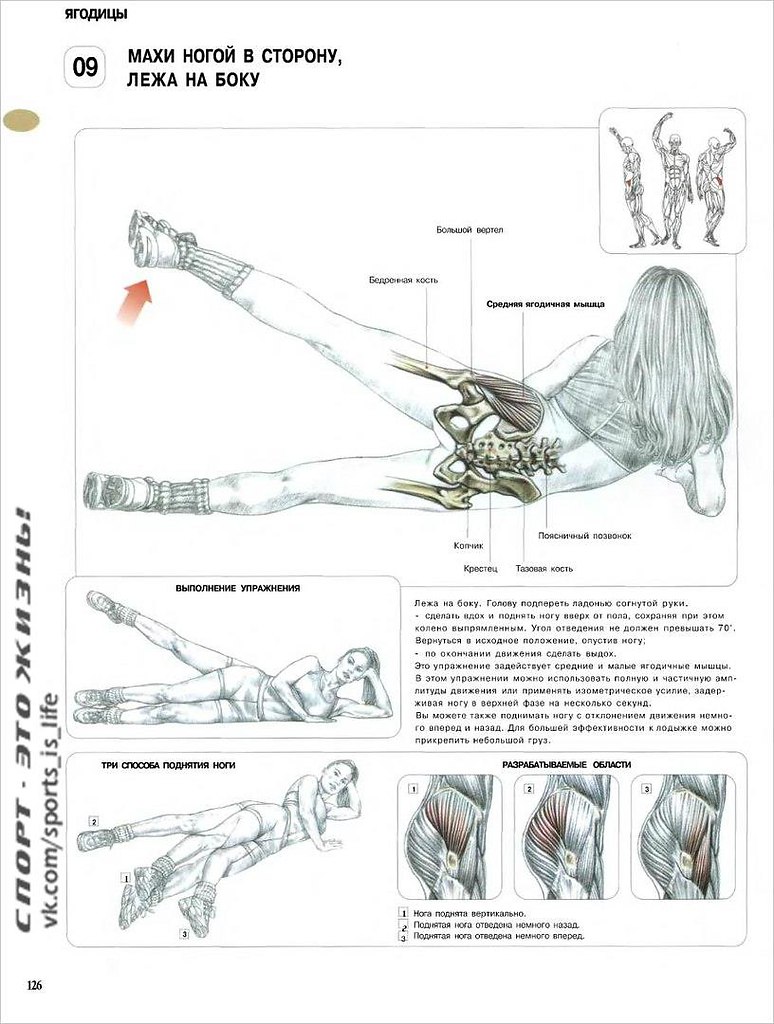УПРАЖНЕНИЯ ДЛЯ ЯГОДИЧНЫХ МЫШЦ | СПОРТ - ЭТО ЖИЗНЬ | Фотострана | Пост  №1056956334