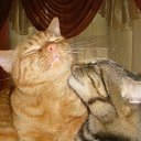  , , 102  -  10  2016    