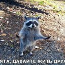 ���� �������, ������, 44 ���� - ��������� 16 ���� 2016