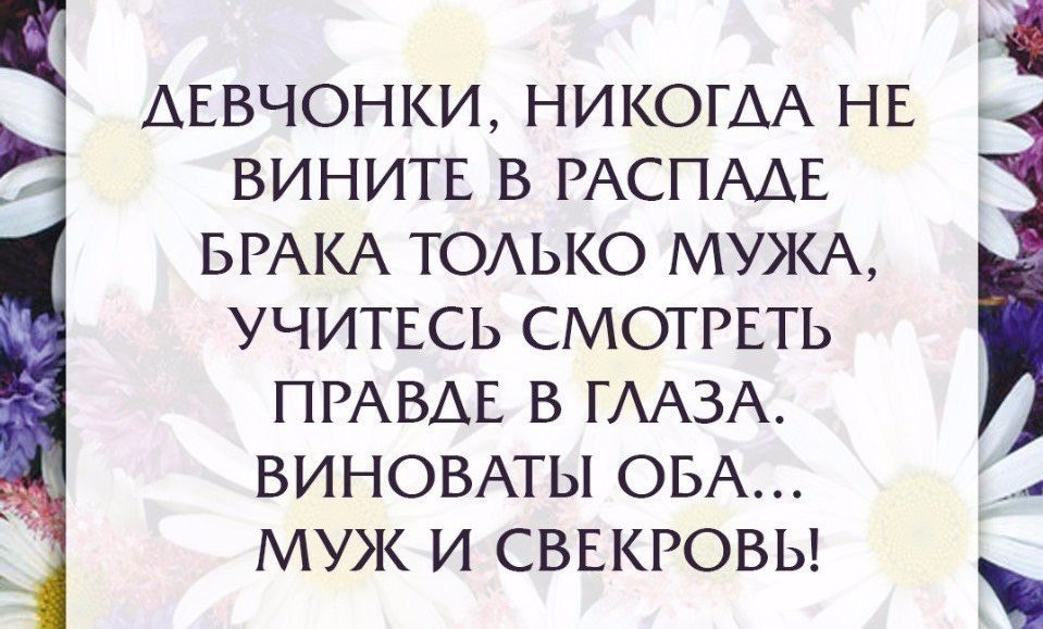 Картинки про свекровь и невестку со смыслом