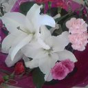 ���� �����, ���������, 33 ���� - ��������� 8 ��� 2016 � ������ ���� ����������