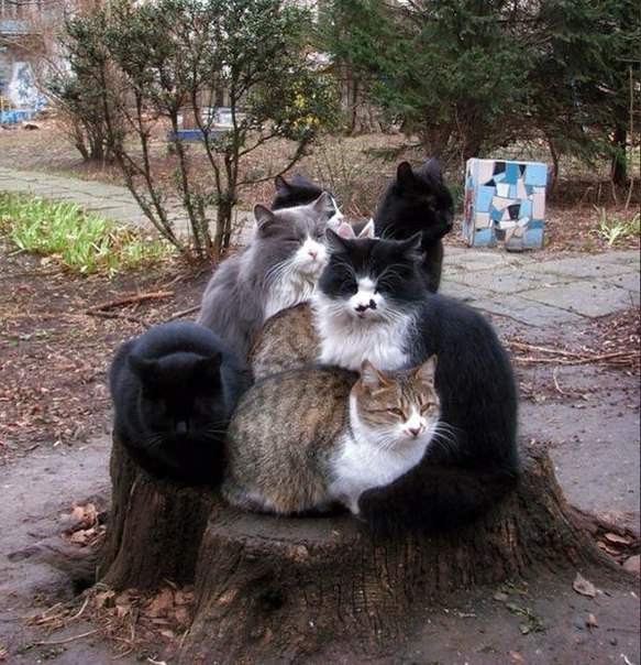 ))))