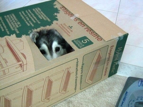   ,    ,     ,   