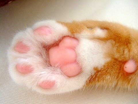 Подушечки :) - 3