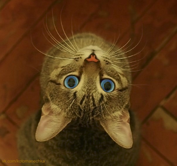  -  - 10  2016  00:28