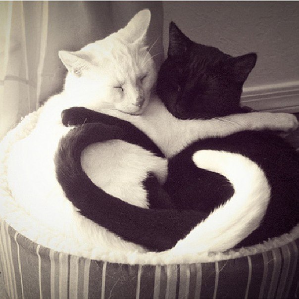 :3 - 2