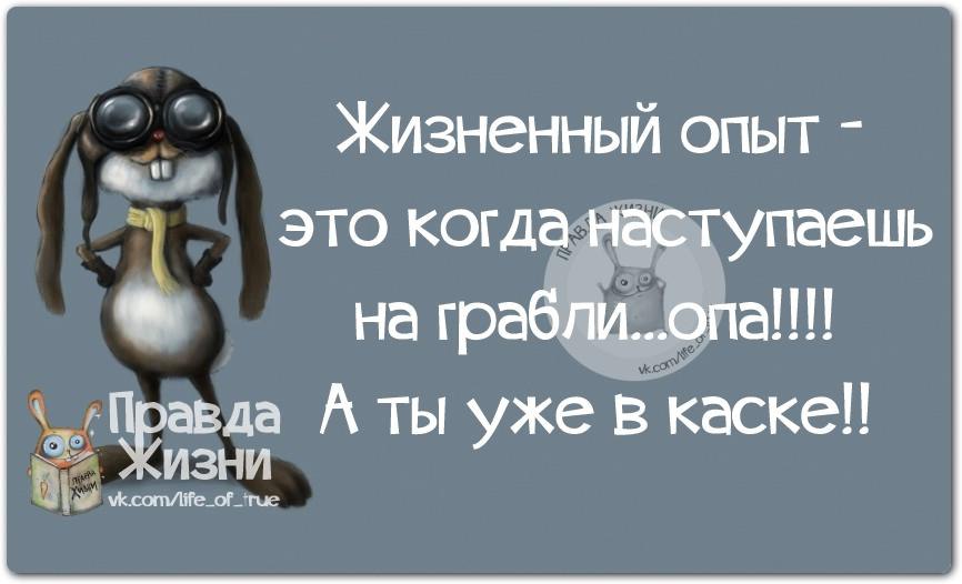 Юмор в картинках с надписями для поднятия настроения про жизнь