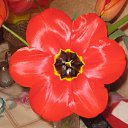 ���� ���������, ������������ - ��������� 6 ��� 2016