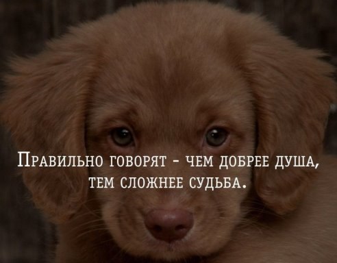 .https://fotostrana.ru/away?to=/sl/kxC2 - 29  2016  09:51