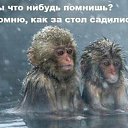 ���� Ը���, �����, 30 ��� - ��������� 29 ��� 2016 � ������ ���� ����������